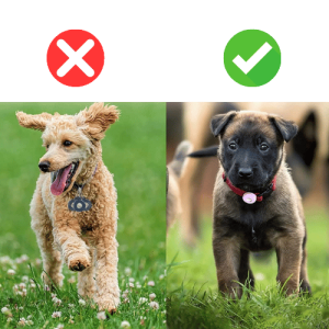 Airtag Houder voor Hondenhalsband – Zachte Siliconen Case voor Apple Airtag, Past op Halsbanden van Hond en Kat Airtag Houder voor Hondenhalsband – Zachte Siliconen Case voor Apple Airtag, Past op Halsbanden van Hond en Kat