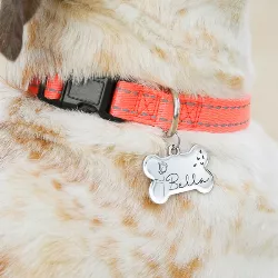 Hondenpenning Zilver Bot